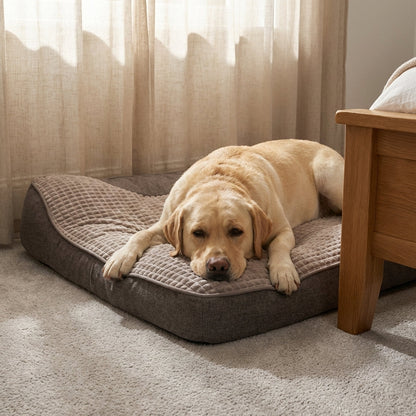 Quilted Foam Dog Cushion Bed | Raised Bolster Sides | Anti-Slip Base