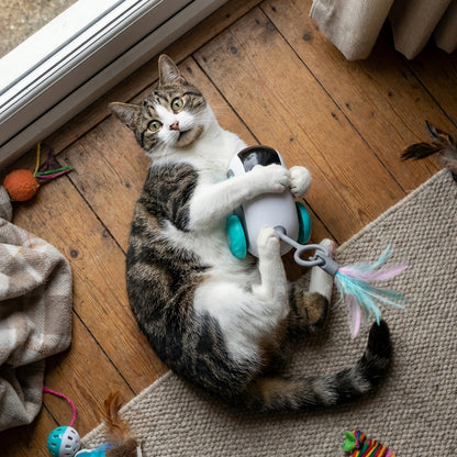Remote Control Cat Toy with Feather Wand | 2 Play Modes