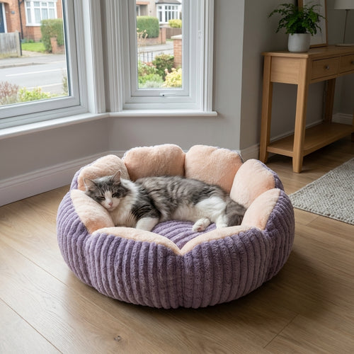 Round Fluffy Cat Bed | Bubble Velvet, 3-Layer Fill | Two-Tone Design