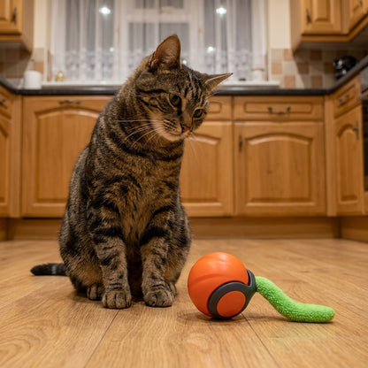 Self-Moving Cat Toy Ball | Motion Sensor & Paw-Activated | USB-C Rechargeable