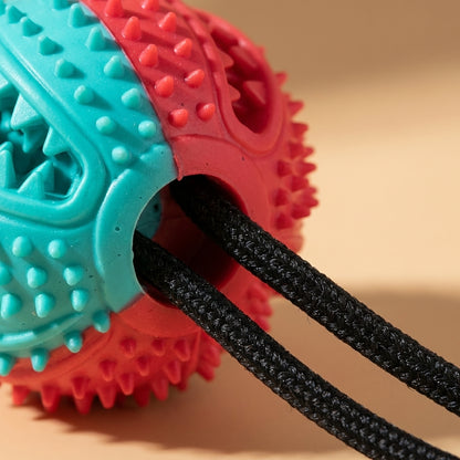 Suction Cup Tug & Chew Toy for Dogs | BPA-Free Rubber Ball on Bungee Rope