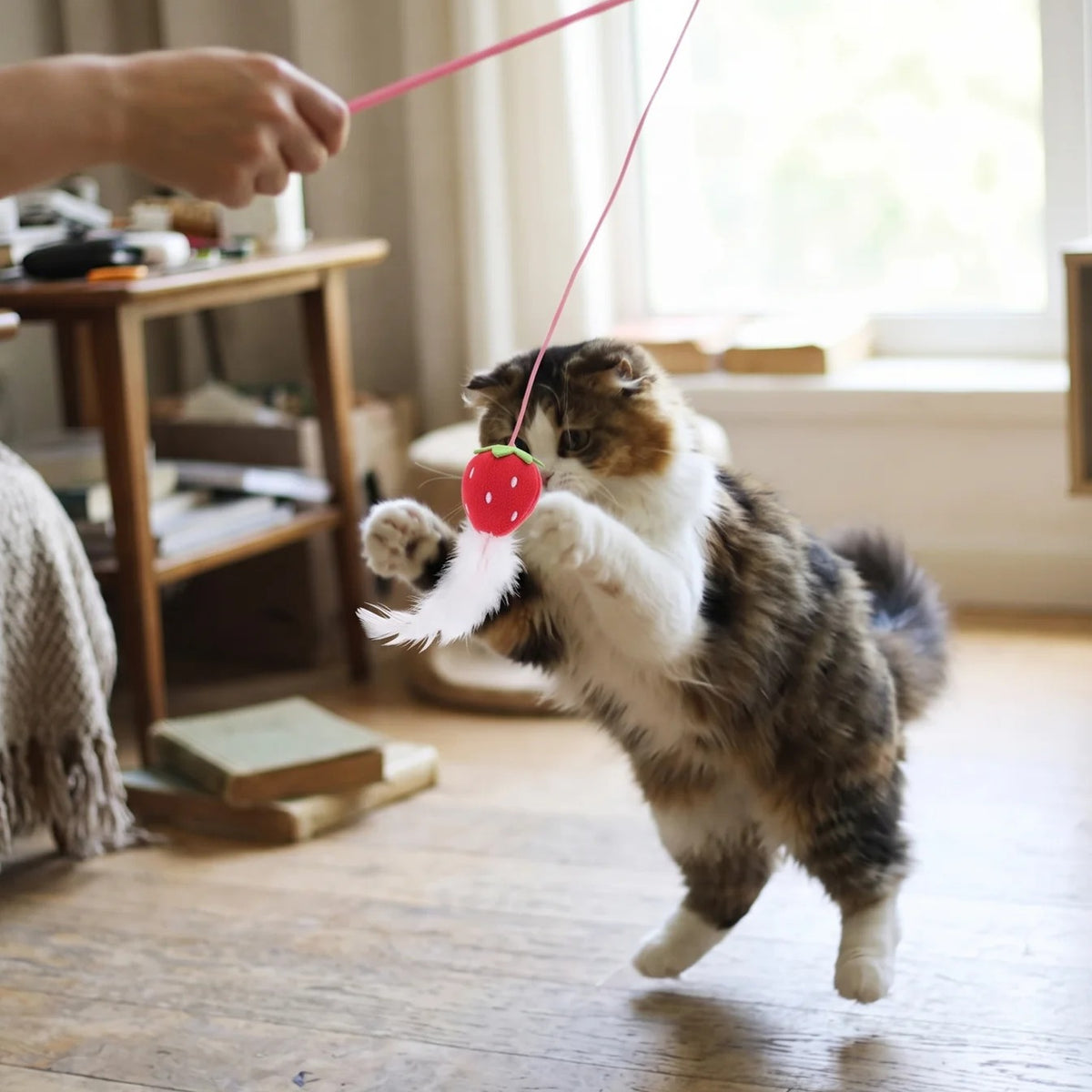 Cat Teaser Wand, Snack Stick Design | Plush Fruit and Bell, 11.8 in