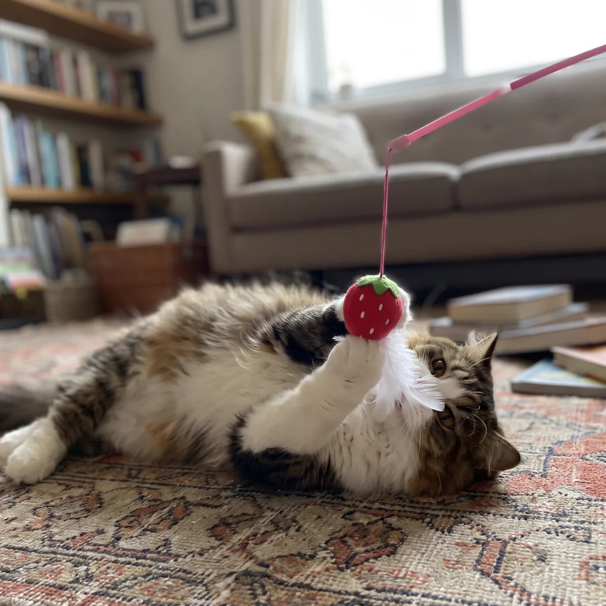 Cat Teaser Wand, Snack Stick Design | Plush Fruit and Bell, 11.8 in