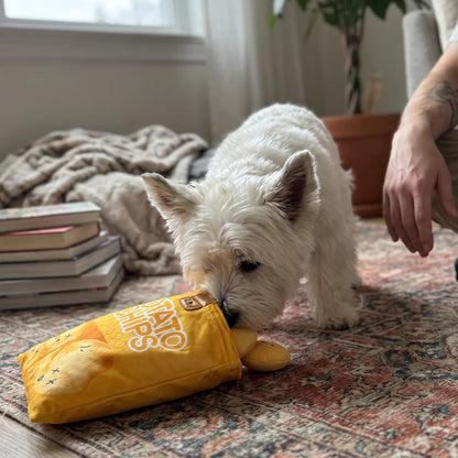 Potato Chip Bag Snuffle Toy for Dogs | Plush Chips to Hide Treats