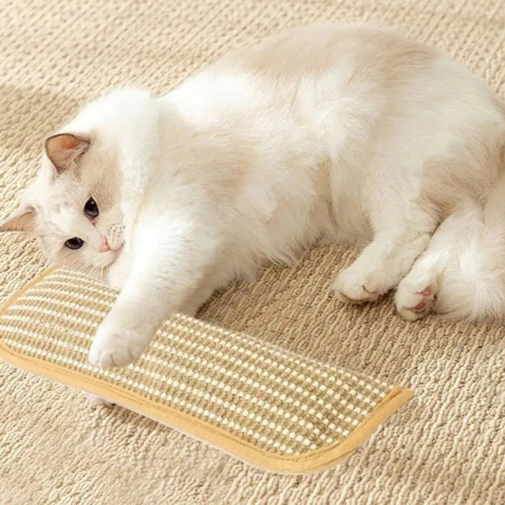 Cat Scratching Pillow | Woven Scratch Surface, Kick Toy, 3 Sizes