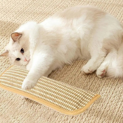 Cat Scratching Pillow | Woven Scratch Surface, Kick Toy, 3 Sizes