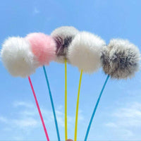 Set F – 5 Wands