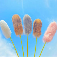 Set D – 5 Wands