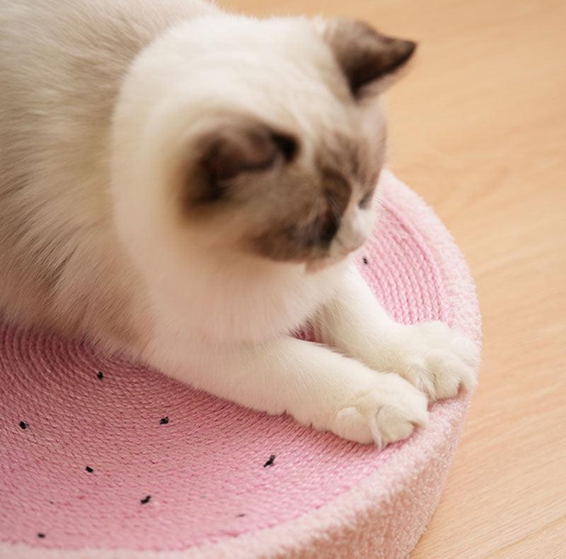 Round Cat Scratcher Bed, Sisal | Bowl Shape, 6 Animal and Fruit Designs