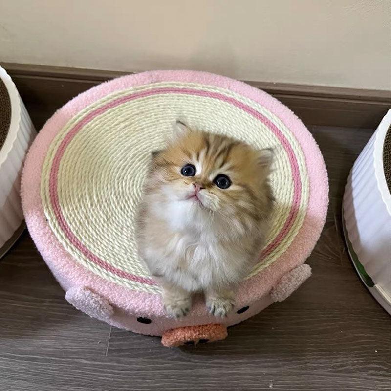 Round Cat Scratcher Bed, Sisal | Bowl Shape, 6 Animal and Fruit Designs
