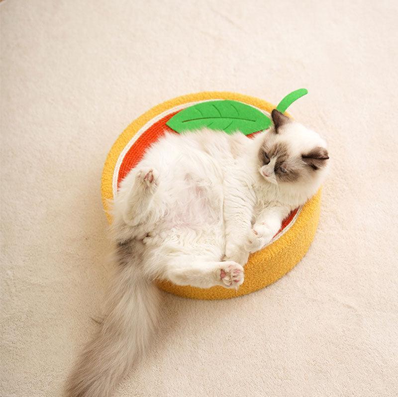 Round Cat Scratcher Bed, Sisal | Bowl Shape, 6 Animal and Fruit Designs