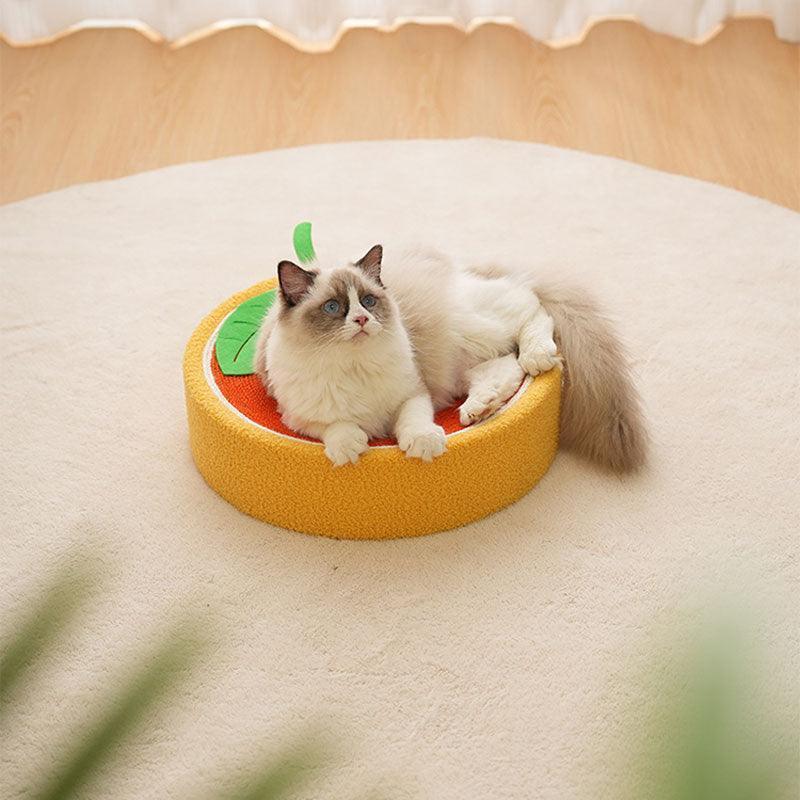 Round Cat Scratcher Bed, Sisal | Bowl Shape, 6 Animal and Fruit Designs