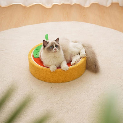 Round Cat Scratcher Bed, Sisal | Bowl Shape, 6 Animal and Fruit Designs