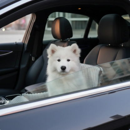 Dog Booster Seat for Car | Ribbed Plush, Built-In Safety Leash