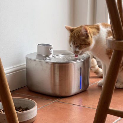 Large Cat Water Fountain | 135 oz Stainless Steel, Cordless