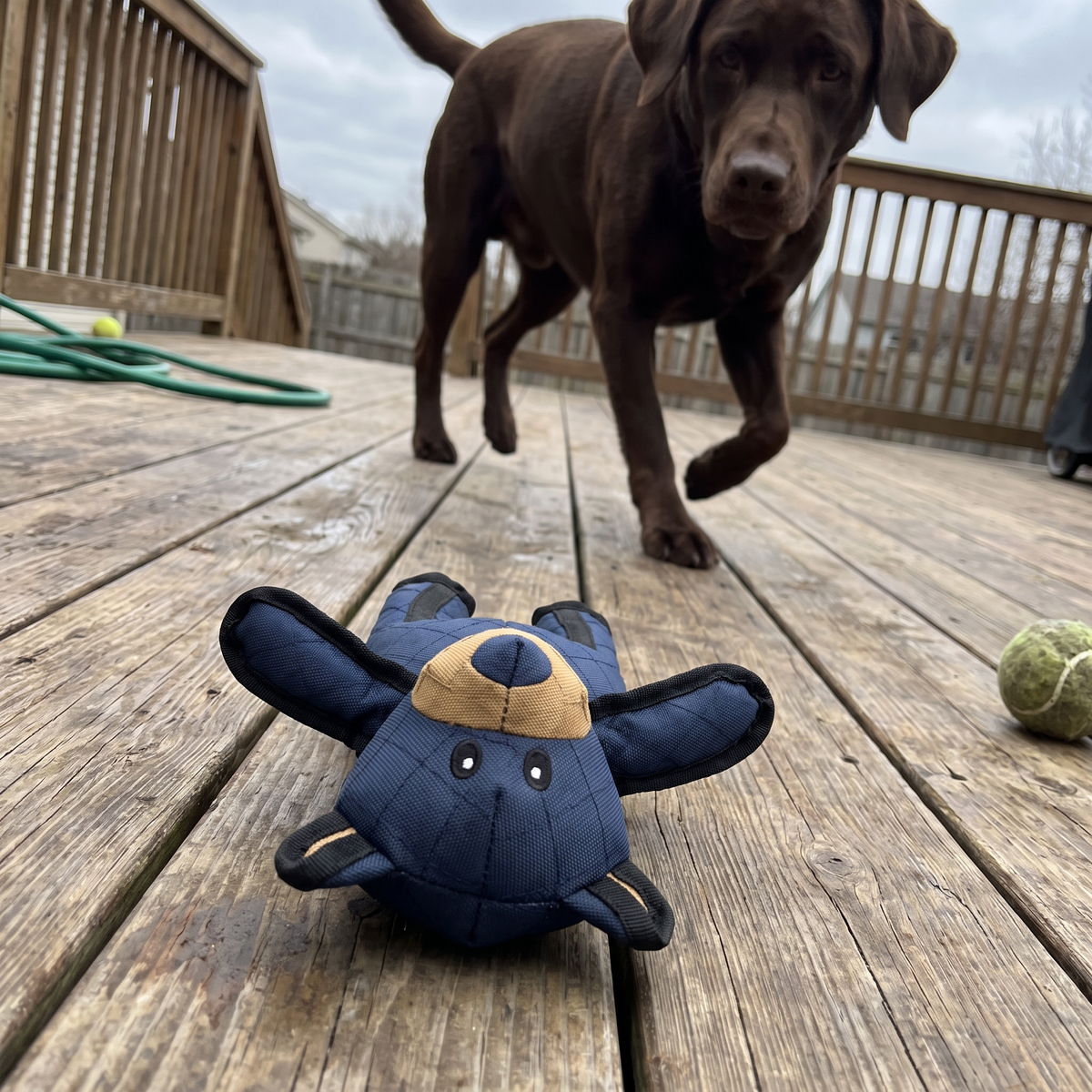Dog Toy for Heavy Chewers | Embroidered, Squeaker, 6 Animals