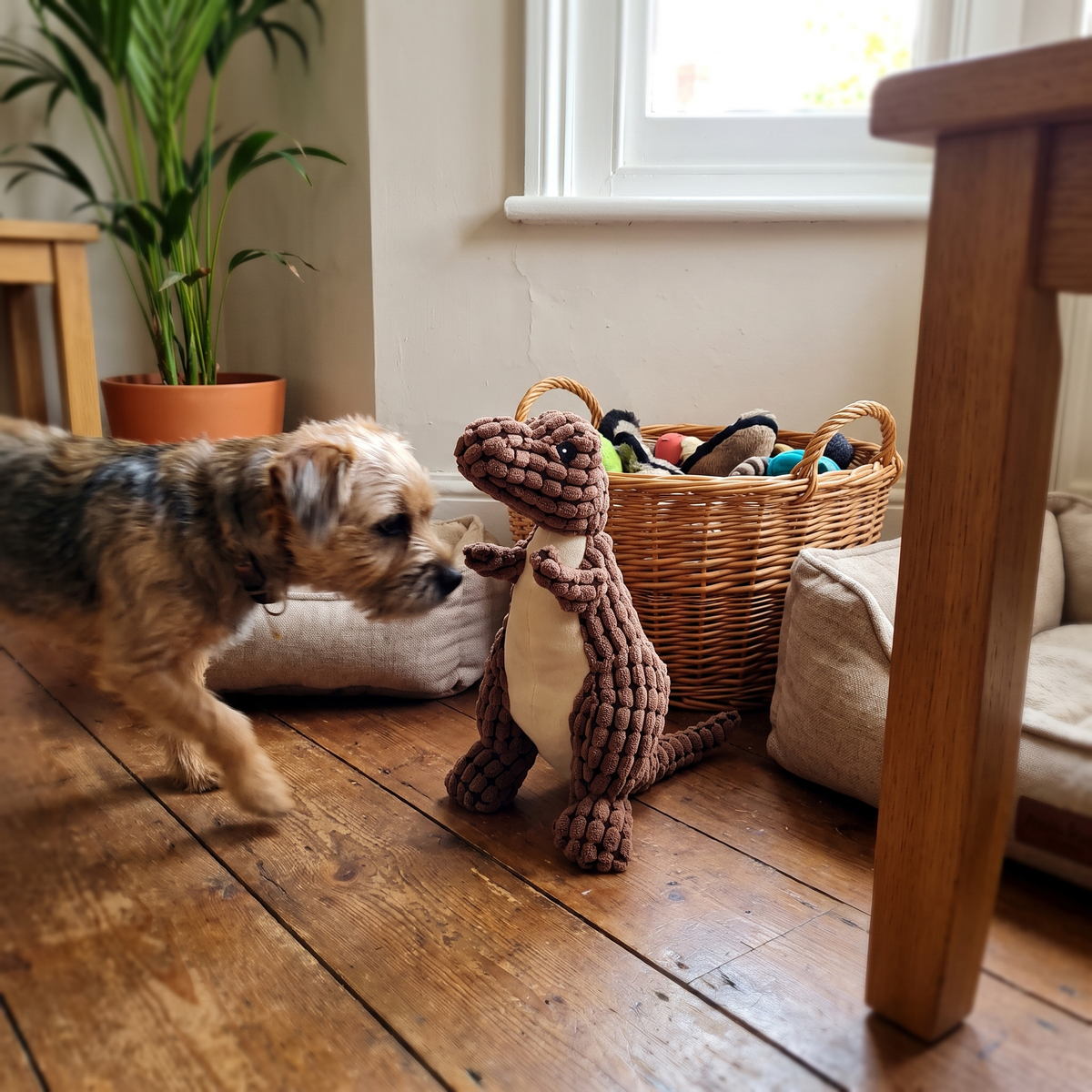 Dinosaur Plush Dog Toy | Built-In Squeaker | 5 Styles