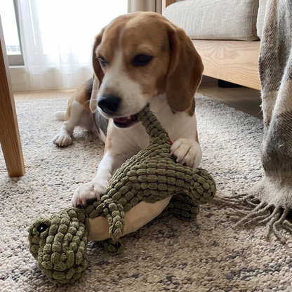 Dinosaur Plush Dog Toy | Built-In Squeaker | 5 Styles