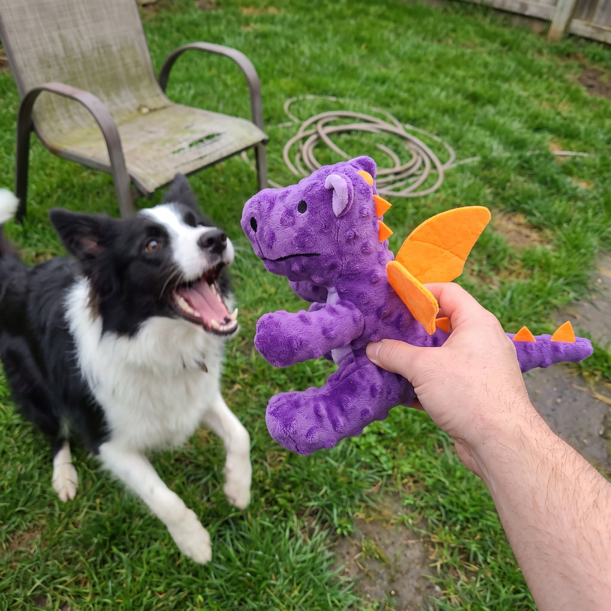 Dinosaur Plush Dog Toy | Built-In Squeaker | 5 Styles
