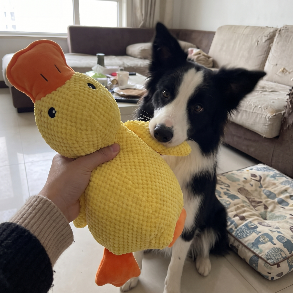 Plush Duck Dog Toy | Quacking Sound | 17.7 x 14.9 in
