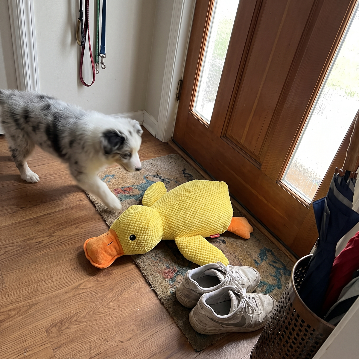Plush Duck Dog Toy | Quacking Sound | 17.7 x 14.9 in