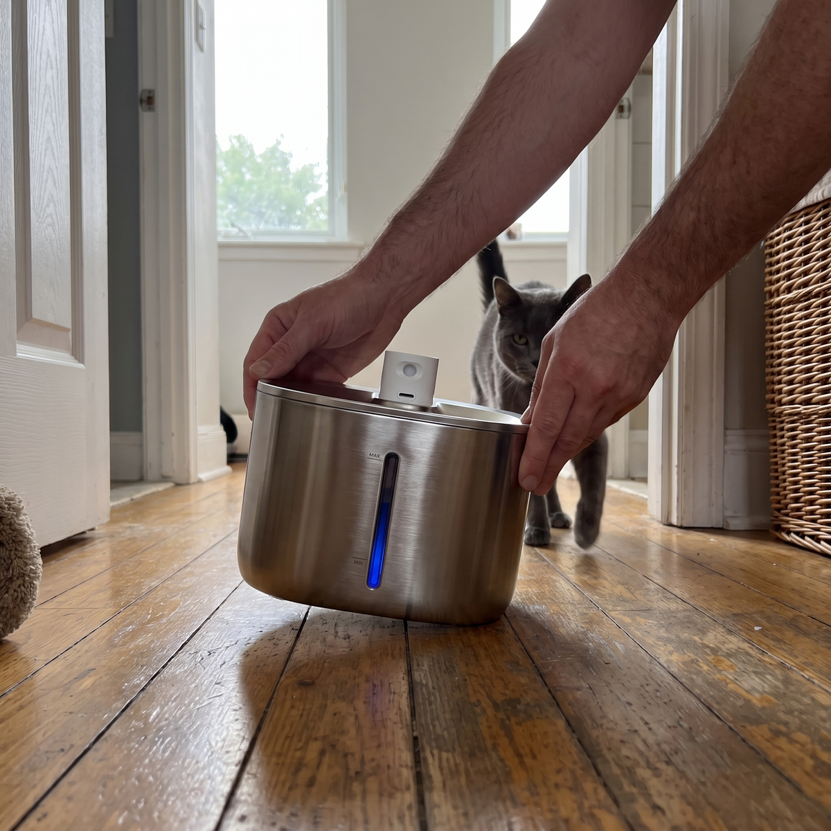 Large Cat Water Fountain | 135 oz Stainless Steel, Cordless