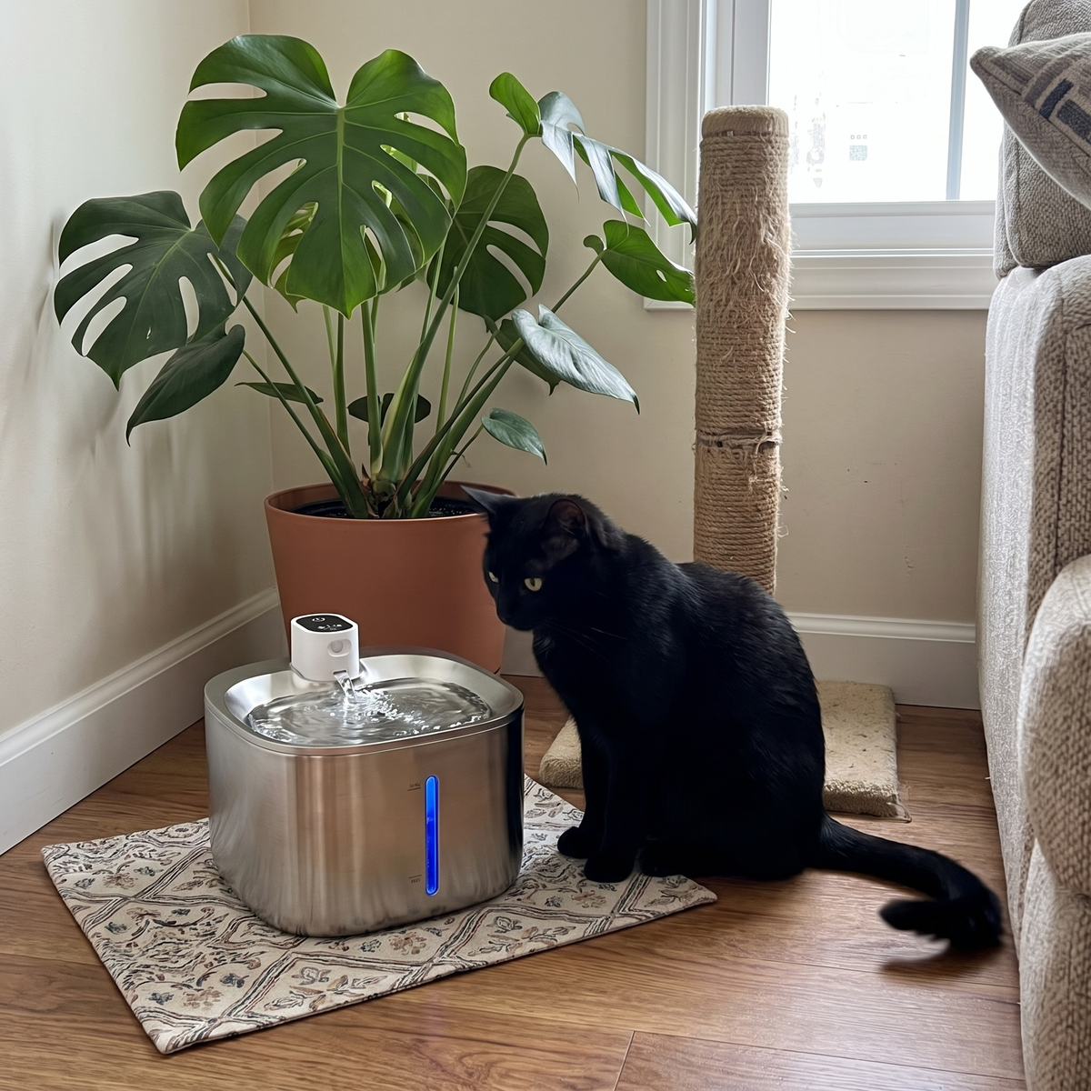 Large Cat Water Fountain | 135 oz Stainless Steel, Cordless