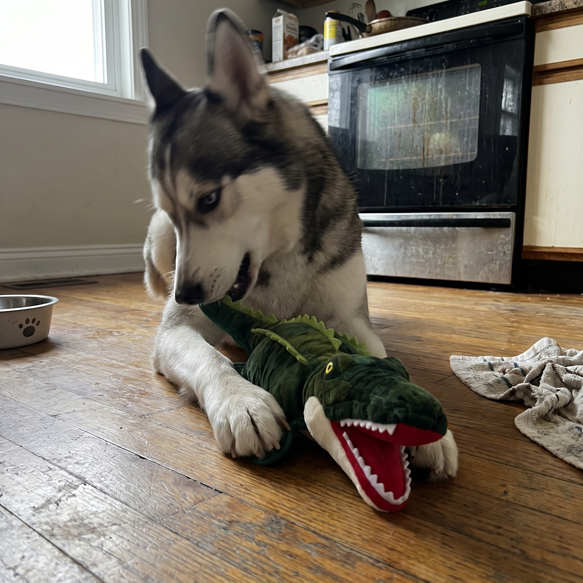 Dog Toy for Heavy Chewers | Embroidered, Squeaker, 6 Animals