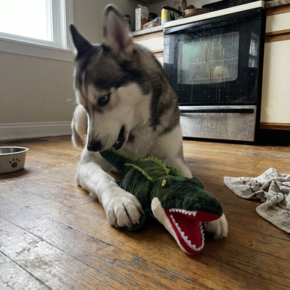Dog Toy for Heavy Chewers | Embroidered, Squeaker, 6 Animals