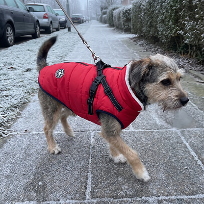 Dog Winter Jacket with Built-In Harness | Fleece Lined, S to 5XL
