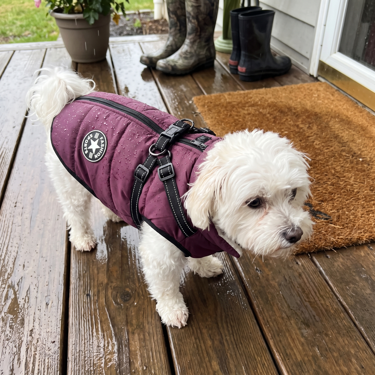 Dog Winter Jacket with Built-In Harness | Fleece Lined, S to 5XL