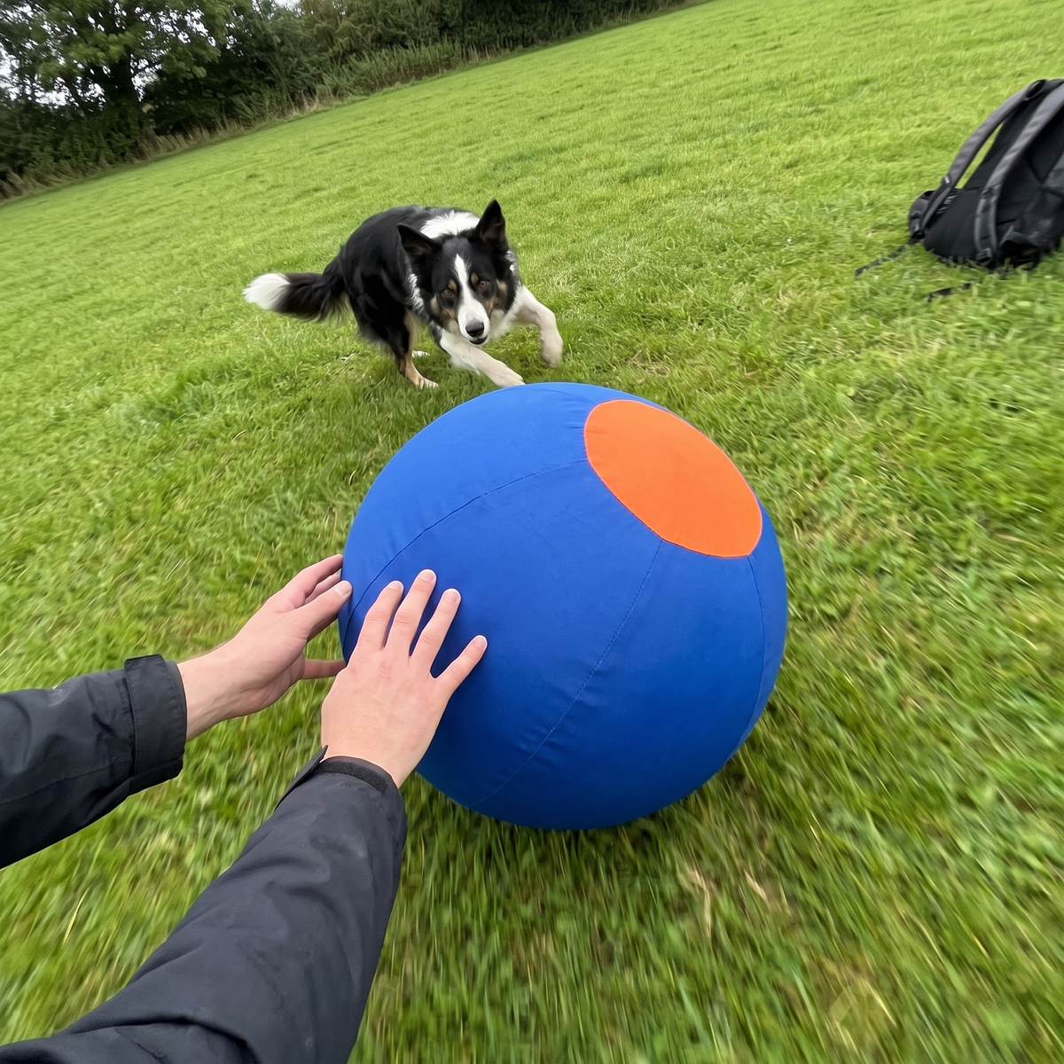 Inflatable Herding Ball for Dogs | Fabric Cover, 9.8 to 21.7 in