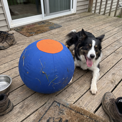 Inflatable Herding Ball for Dogs | Fabric Cover, 9.8 to 21.7 in