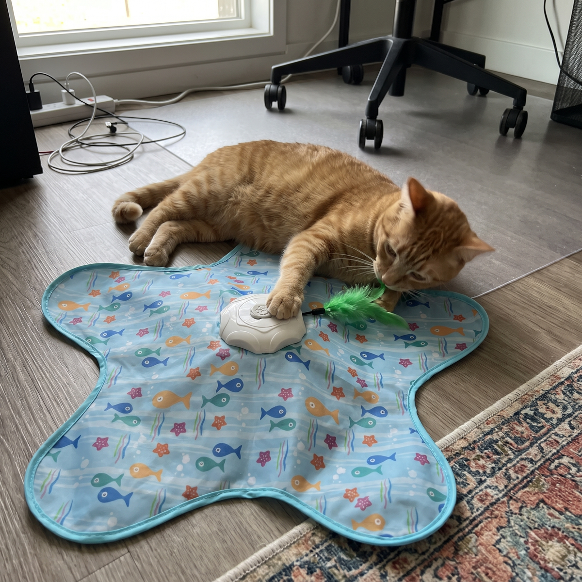 Automatic Cat Toy with Moving Feather | Hide-and-Seek Mat, 25.6 in