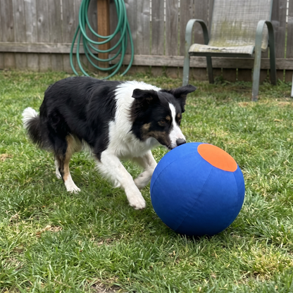 Inflatable Herding Ball for Dogs | Fabric Cover, 9.8 to 21.7 in