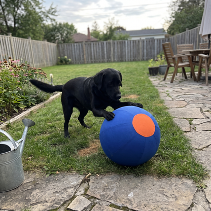 Inflatable Herding Ball for Dogs | Fabric Cover, 9.8 to 21.7 in