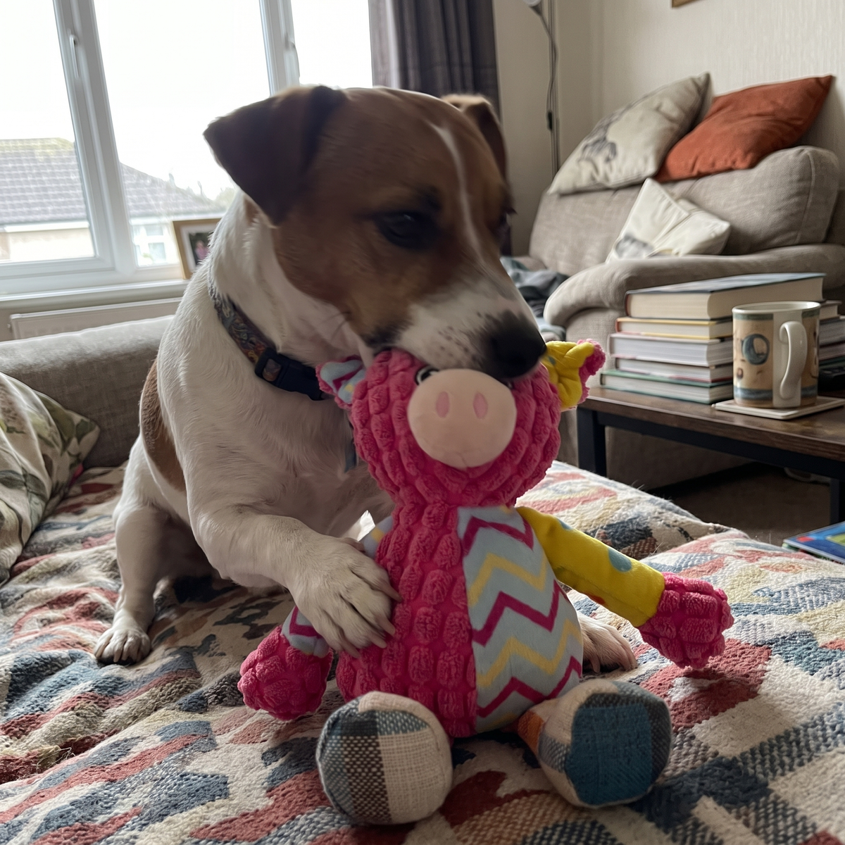 Squeaky Plush Dog Toy for Small and Medium Dogs | 7 Patchwork Animals