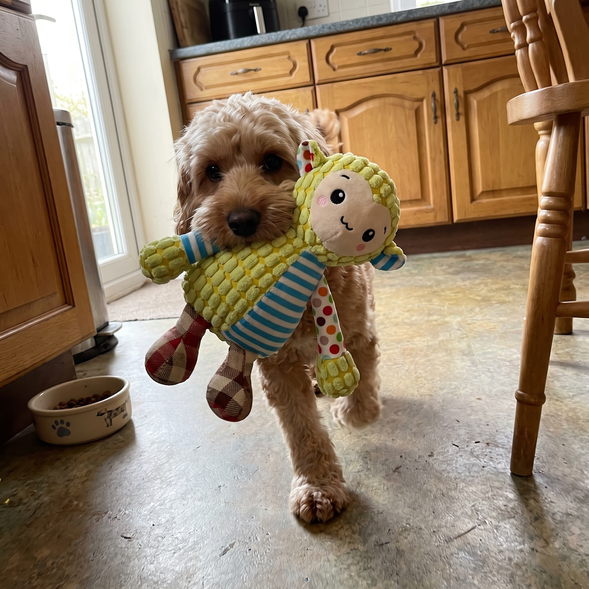Squeaky Plush Dog Toy for Small and Medium Dogs | 7 Patchwork Animals