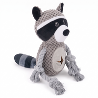 Raccoon