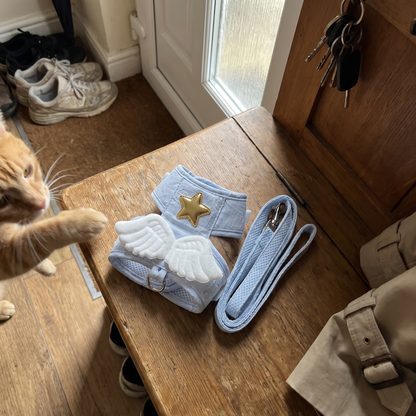 Cat Harness and Leash Set with Angel Wings | Gold Star, Mesh Lining