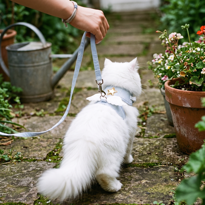 Cat Harness and Leash Set with Angel Wings | Gold Star, Mesh Lining