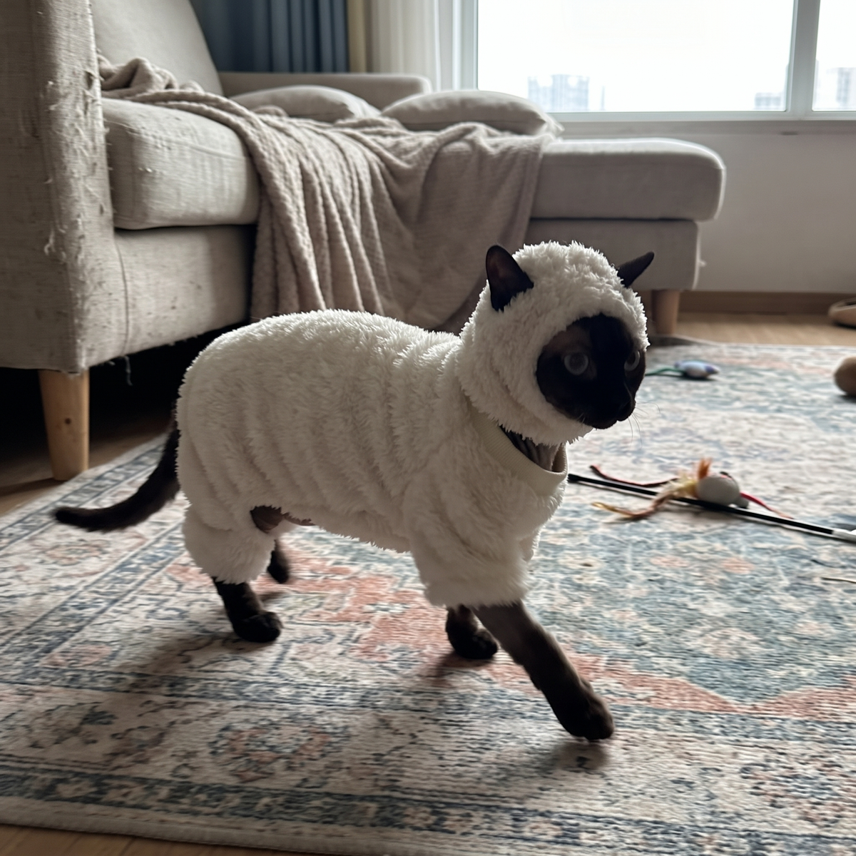 Sheep Cat Costume with Hood | Plush Sphynx Outfit, XS to 2XL