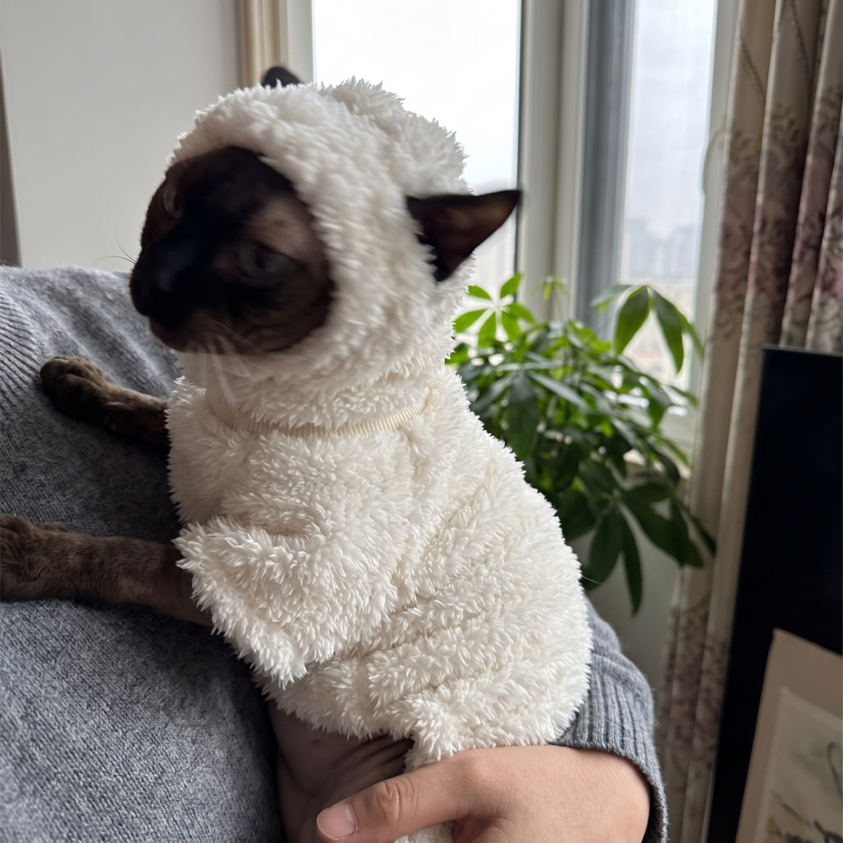Sheep Cat Costume with Hood | Plush Sphynx Outfit, XS to 2XL