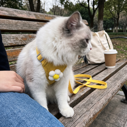 Cat Vest Harness and Leash Set | Flower, Star or Cloud, S to XL