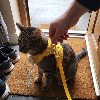 Cat Vest Harness and Leash Set | Flower, Star or Cloud, S to XL