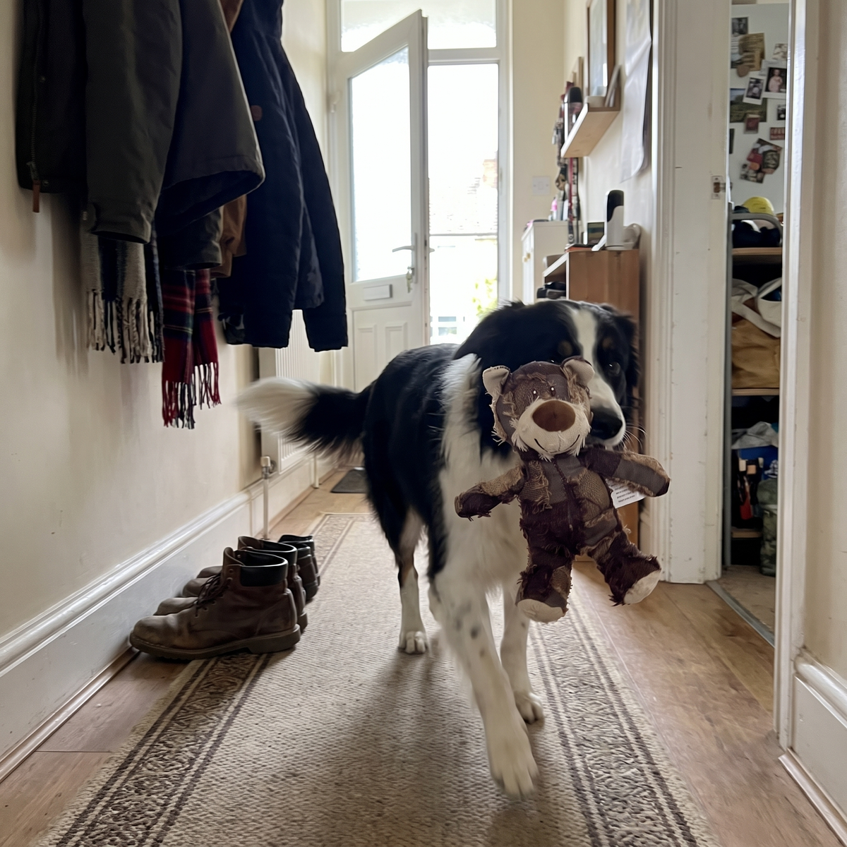 Tough Bear Dog Chew Toy | Stitched Patchwork Fabric, 3 Colors