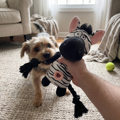 Squeaky Plush Dog Toy with Rope Legs | Crinkle Ears, Treat Pocket