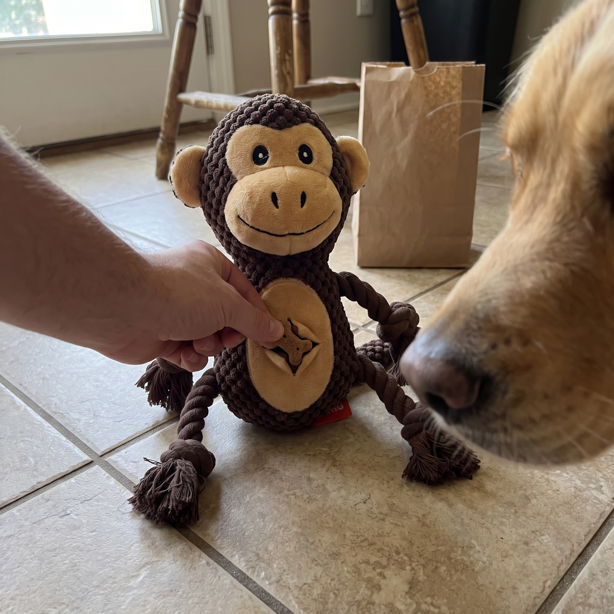 Squeaky Plush Dog Toy with Rope Legs | Crinkle Ears, Treat Pocket