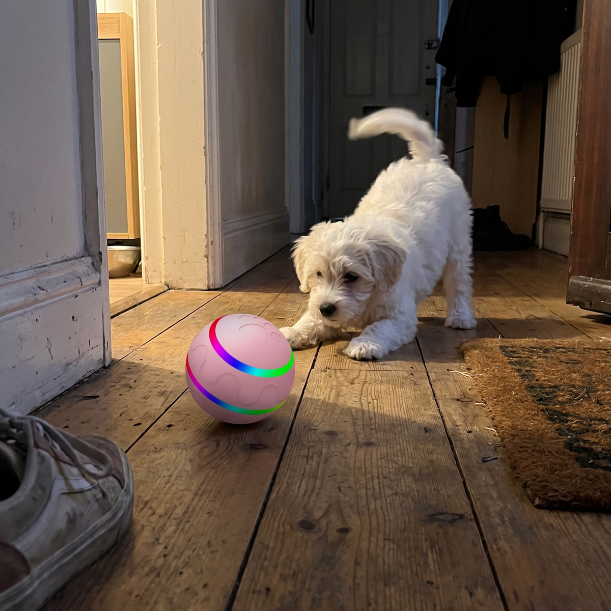 Self-Rolling Dog Ball with LED Lights | Interactive Toy, 3.1 in