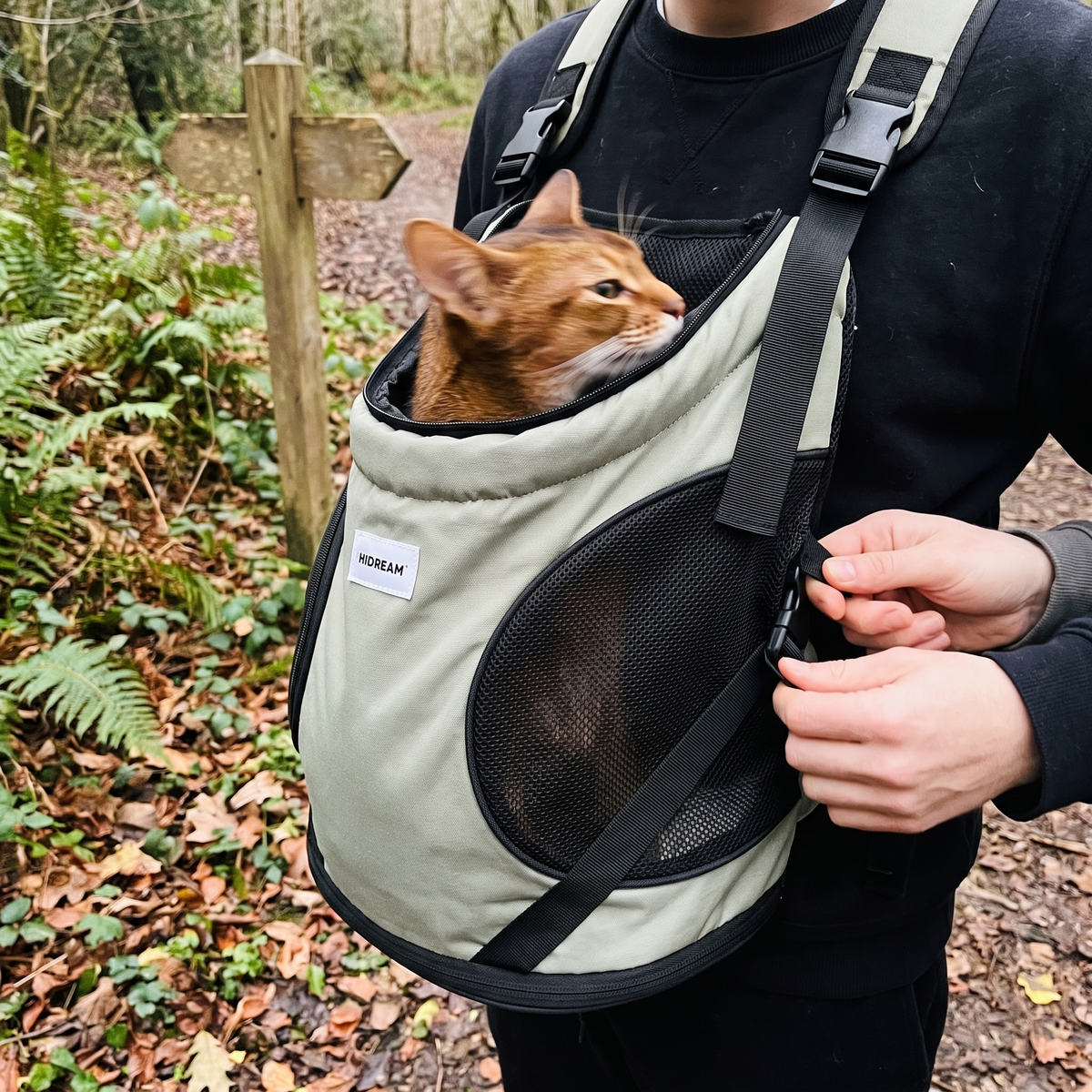 Cat Front Carrier Backpack | Mesh Window, Crossed Straps, Up to 13 lb